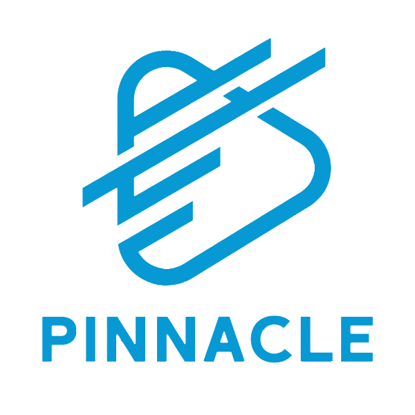PINNACLE SYSTEMS LIMITED
